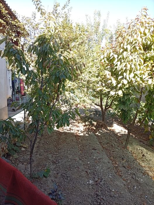 Продается свой дом