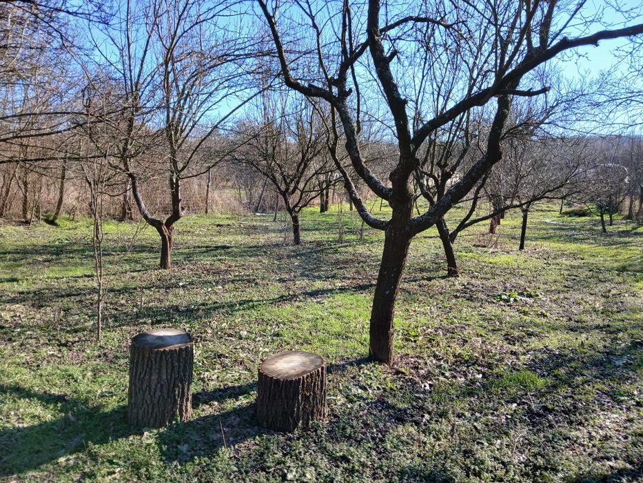 Teren Intravilan Casa 1600