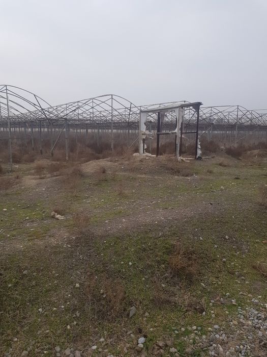 Продаётся  типлица напротив грэс.