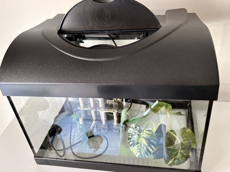 Acvariu 22 litri - complet, cu decoratiuni incluse