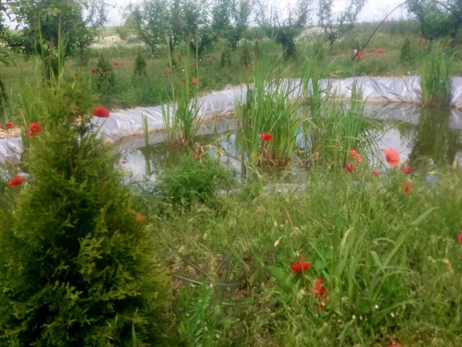 Vand 3 locuri de casa a cate 1500 mpatrati fiecare adica 15 arii