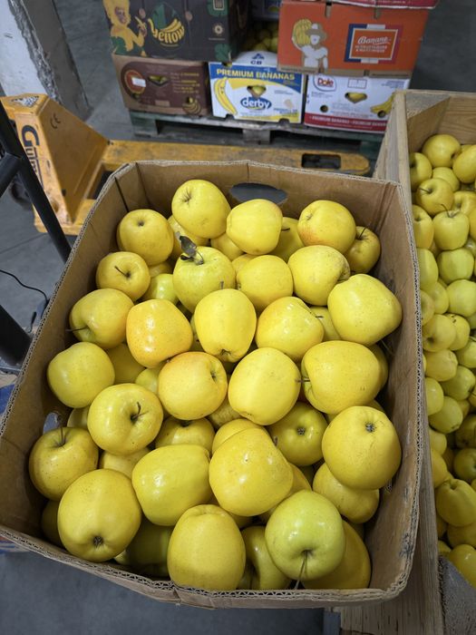 Mere De Polonia de Vânzare orice soi Calitate Extra Lux si Pret