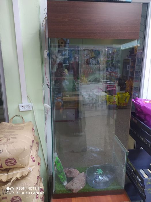 Террариум для рептилий