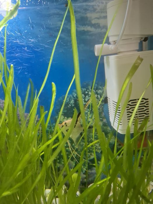 Продам аквариум на 25 л