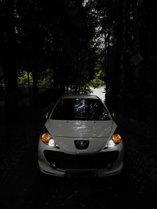 Peugeot 207 LE MANS  numarul 641 ( Editie limitata )