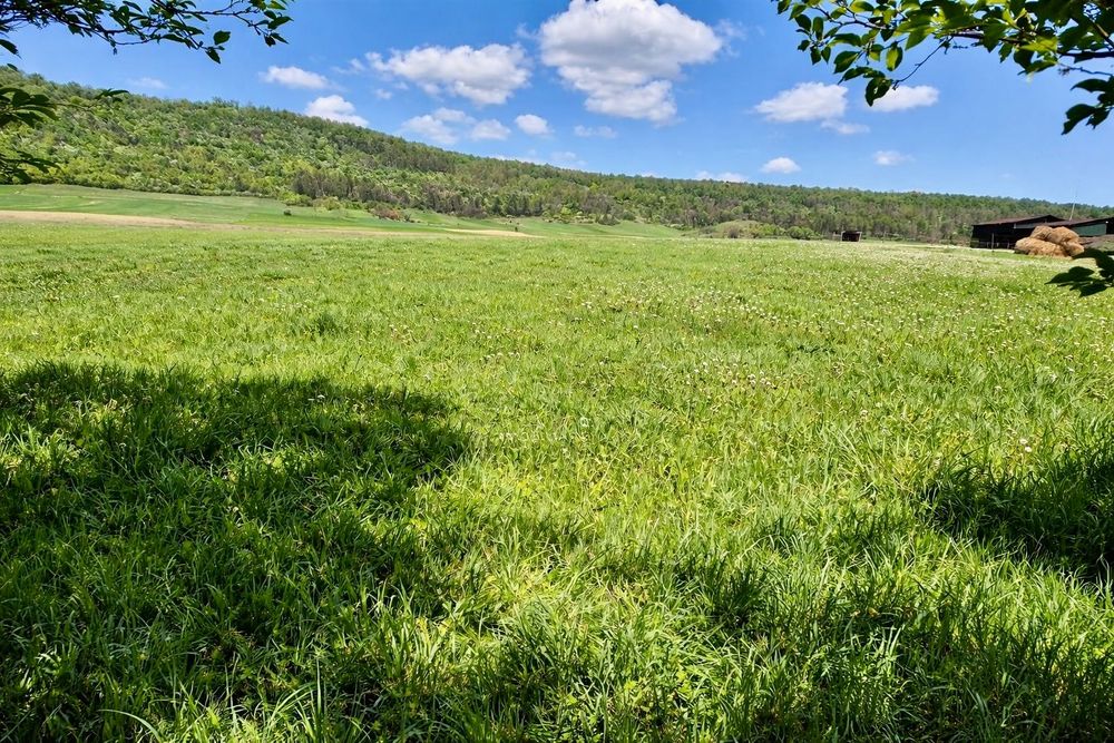 Casa si teren de vanzare in Corunca-Jud Mures