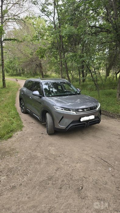 Byd yuan up 2025