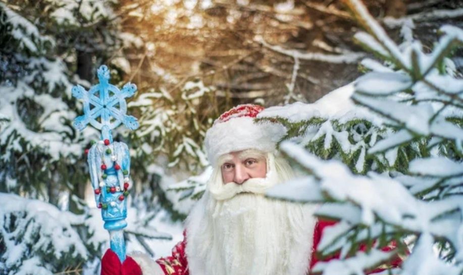 Дед Мороз и Снегурочка