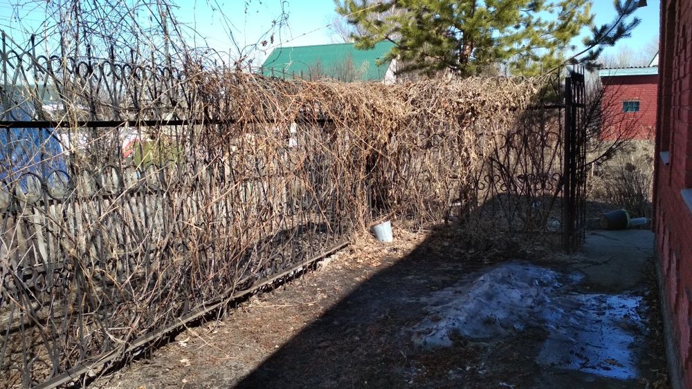 Продам дом с земельным участком