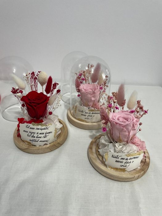 Cupola cu trandafir cirogenat