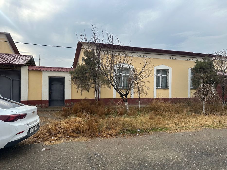 Katej kotej катеж