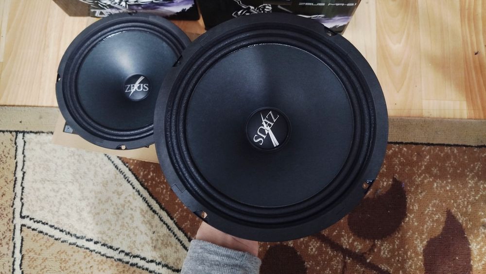 Мощные Momo Zevs 20см Эстрадные динамики