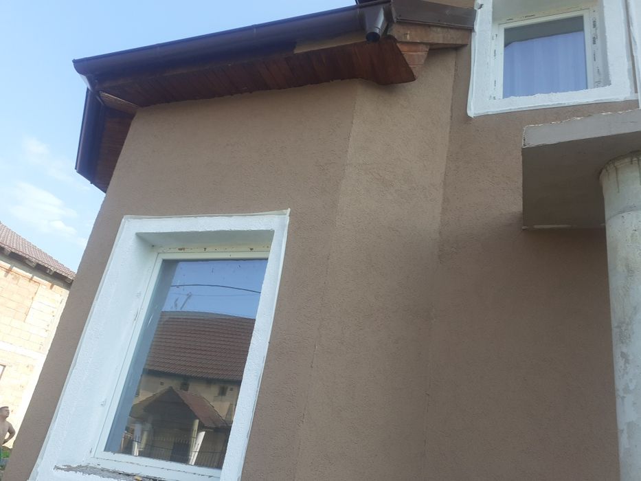 Persoana fizica execut