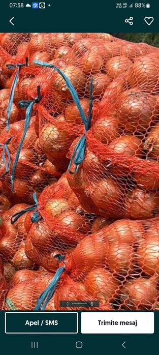 Ceapa uscată 3 RON kilogramul