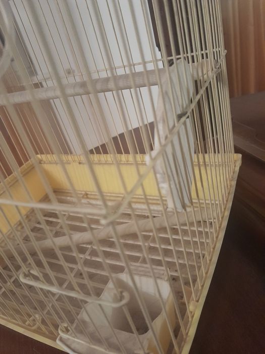 Клетка для попугая