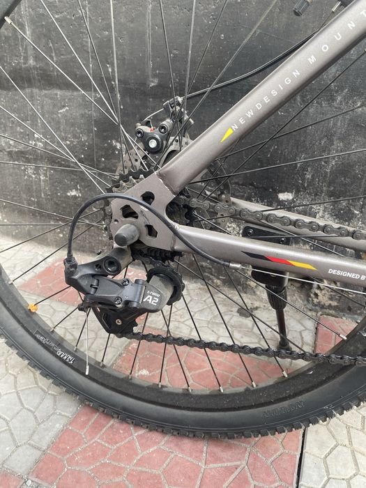 Cruzer Wisent MTB