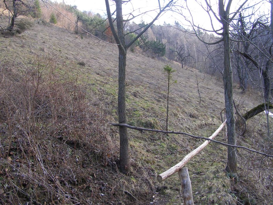 Casa si gradina in Brasov