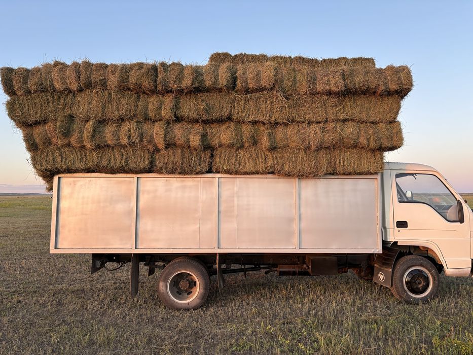 Буылған шөп Сено в тюках