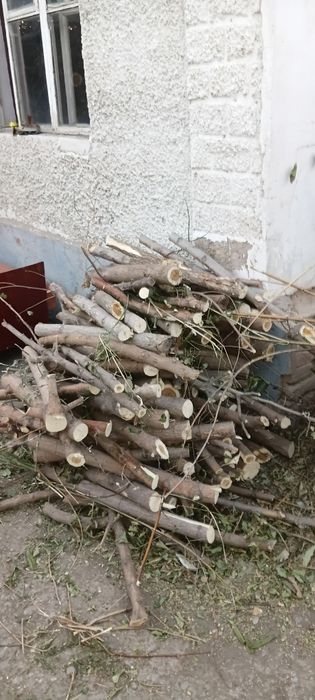 Ағаш отын тегін беремін баня ға или
