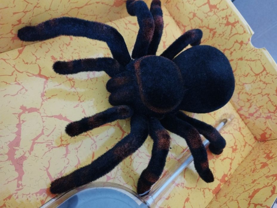 Паук тарантул на радиоуправлении