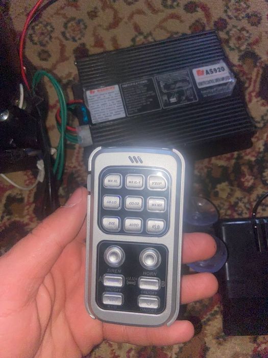 Serena migalka sotilad