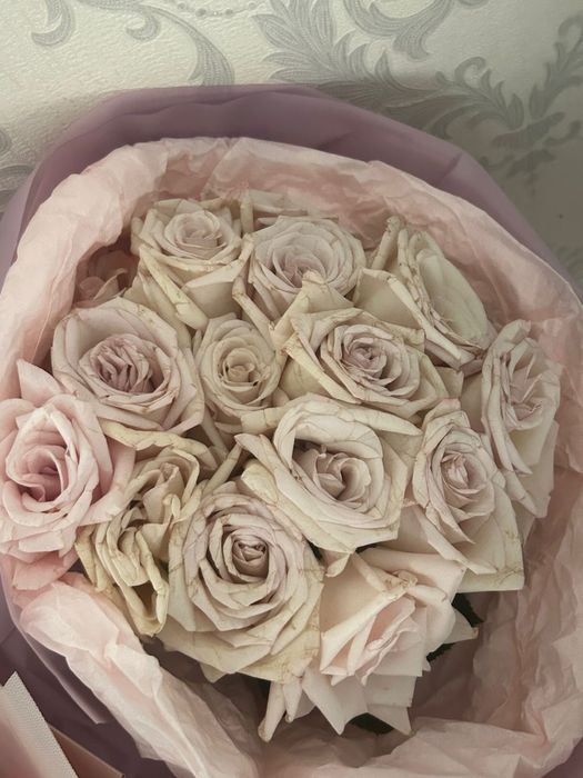 Продам цветы розы за 5к , хризантемы 3к