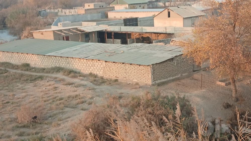 Dacha sotiladi Navoiy viloyati Karmana tumani yangi gres yonida