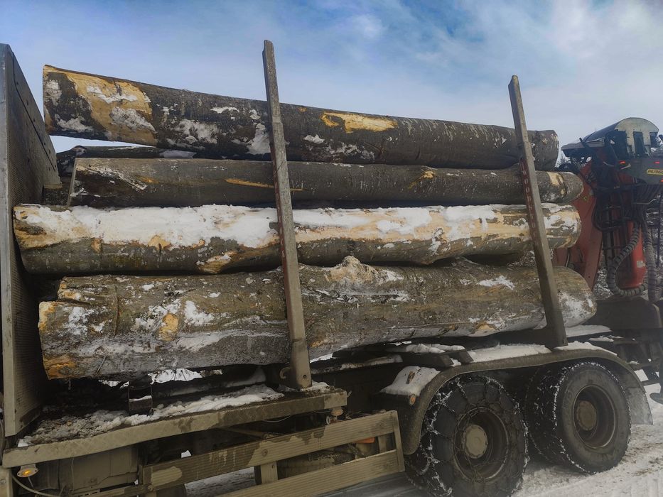 Lemn de foc fag | Transport inclus