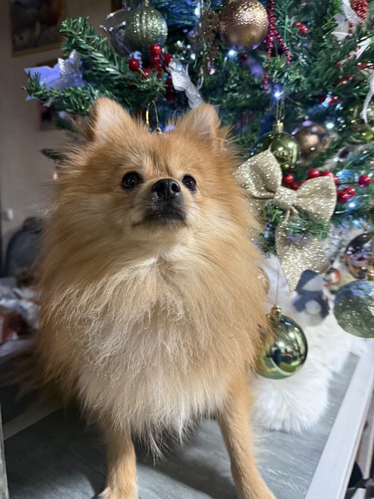 Придлогается к вязке