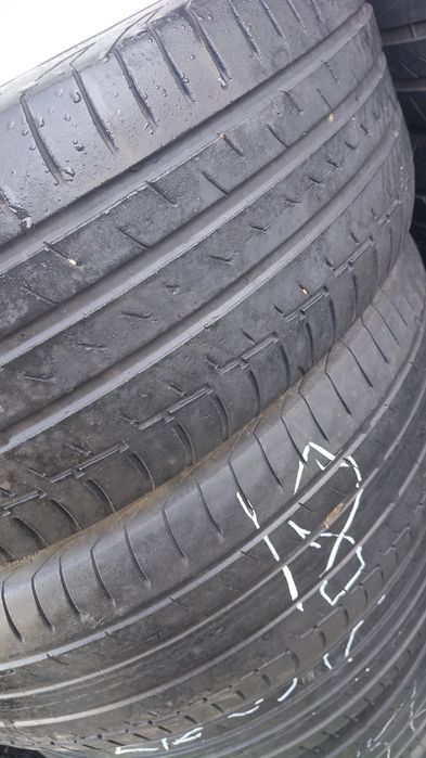 Шины континента ль лето