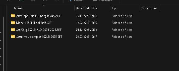 Seturi Din toata gama KORG de la PA300 pana la PA5X