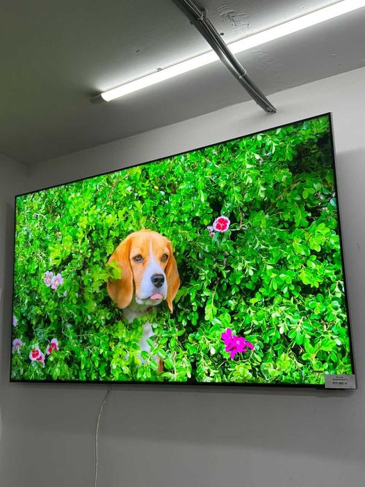 Телевизор Samsung QE65QN800AUXCE