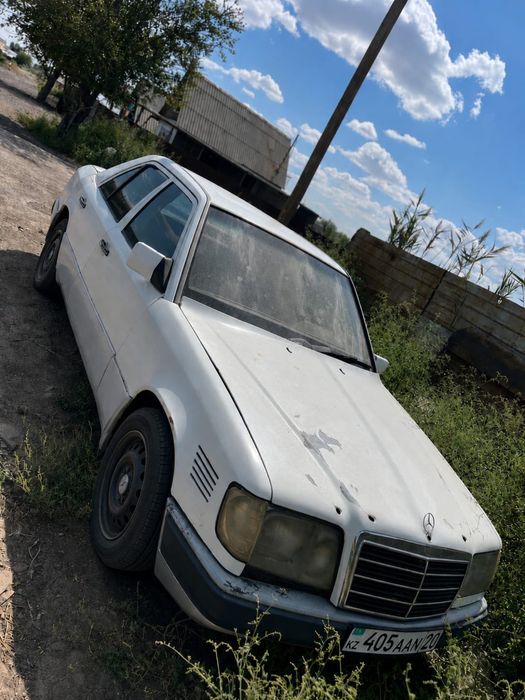 Mercedes Bens 250 D