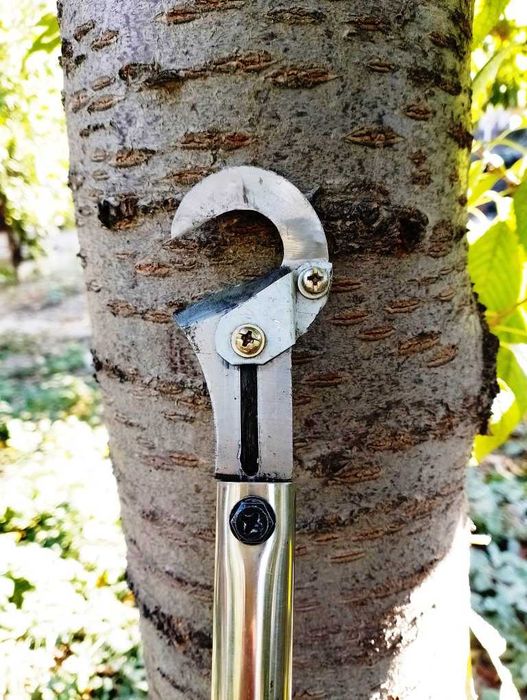 Баландаги шохлар ва гулзор учун секатор