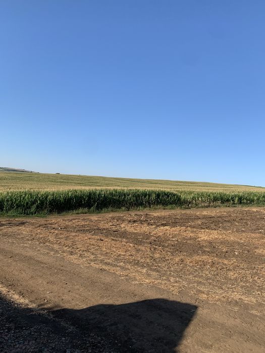 Siloz de vanzare 30 hectare