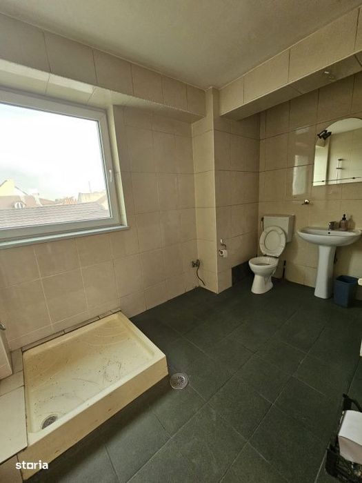 Spatiu comercial, 495 mp utili, zona Centrala