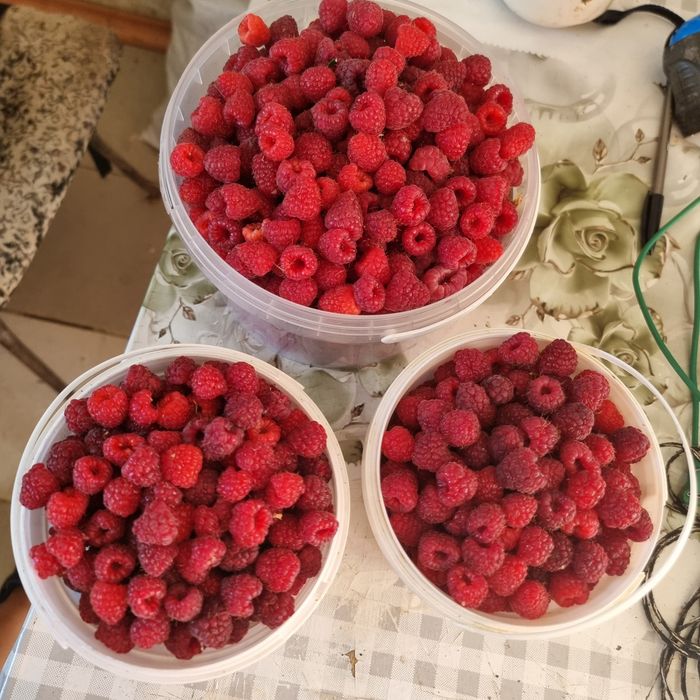 Продам малину с доставкой по городу