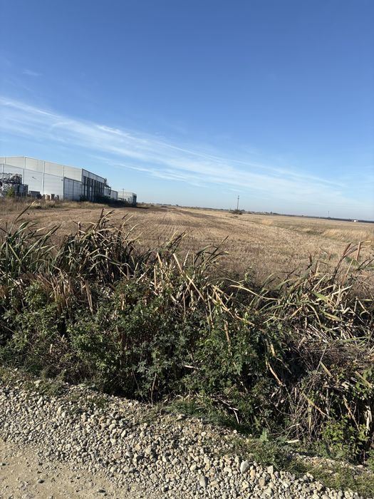 Vind teren la intrare in Apateu