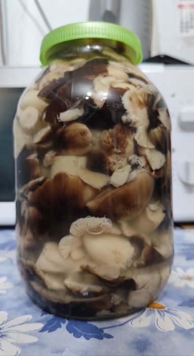 Продам грибы соленые