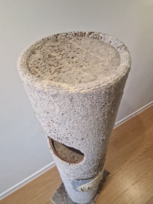 Катерушка котешка