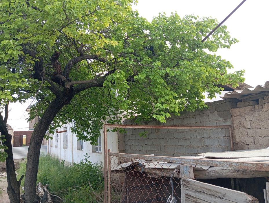 Hovli sotiladi 5 sotix shahar markazidan 30000$