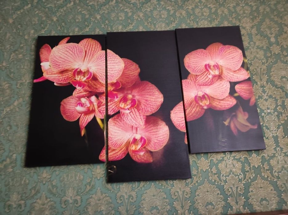 Продам картины. Каскелен