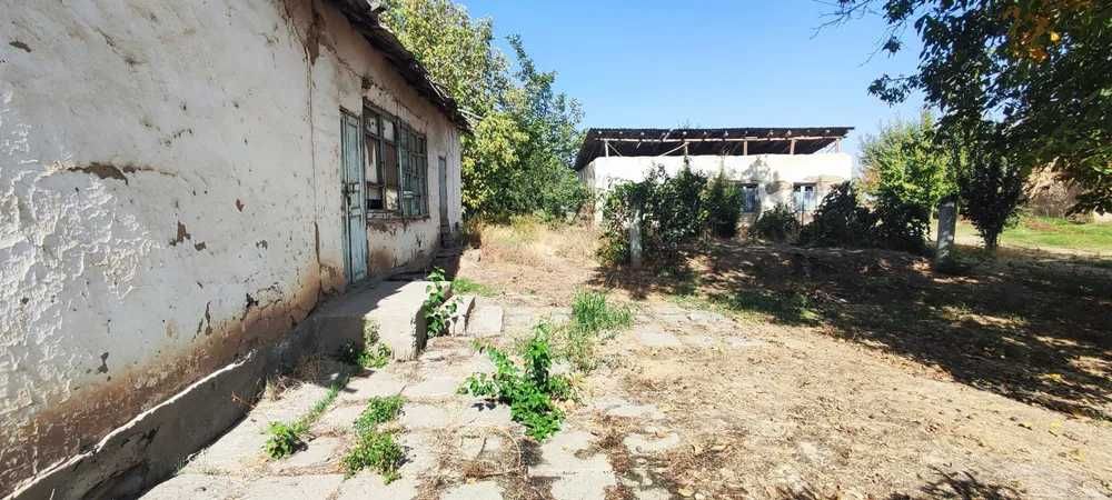 Ипподромдан 16 км Бузсув Навои Янгийулда 27 сот 7 хона уй сотилади.