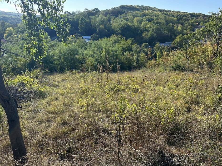 teren intravilan Monteoru cu autorizație construire casuțe de vacanță