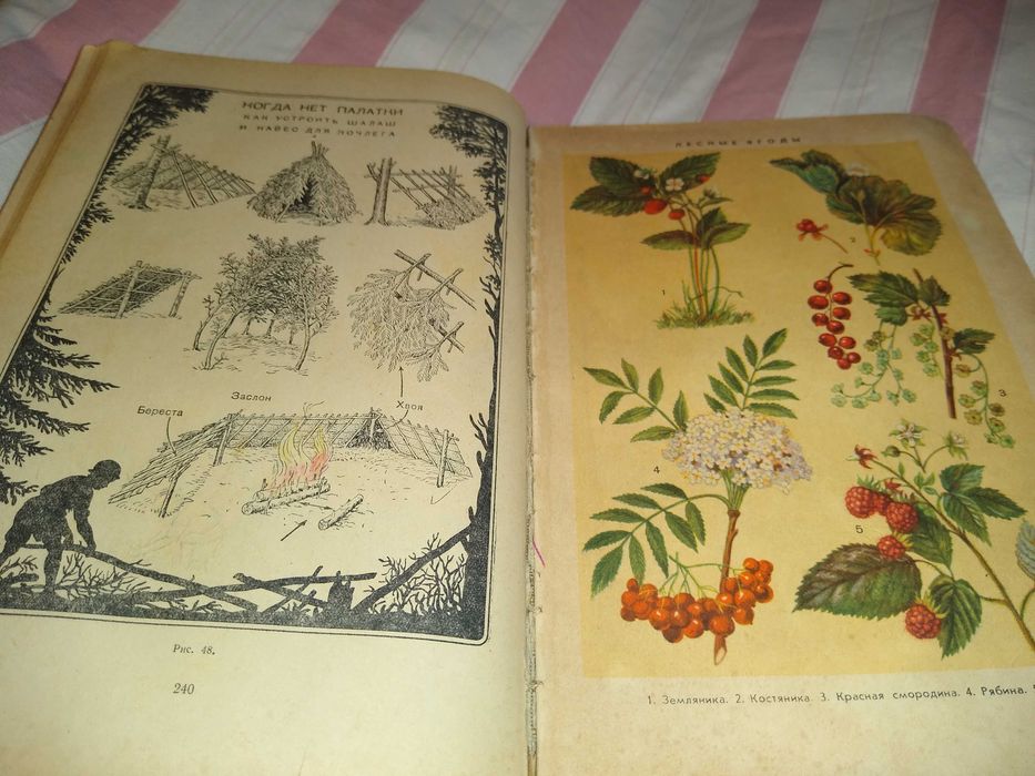 Книга Вожатого 1954