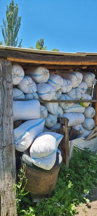 Продам Опилки, Стружки по 500-700