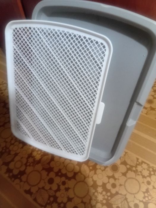 Лоток для собачек!