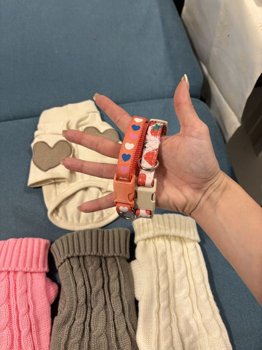 Кучешки дрехи и нашийници