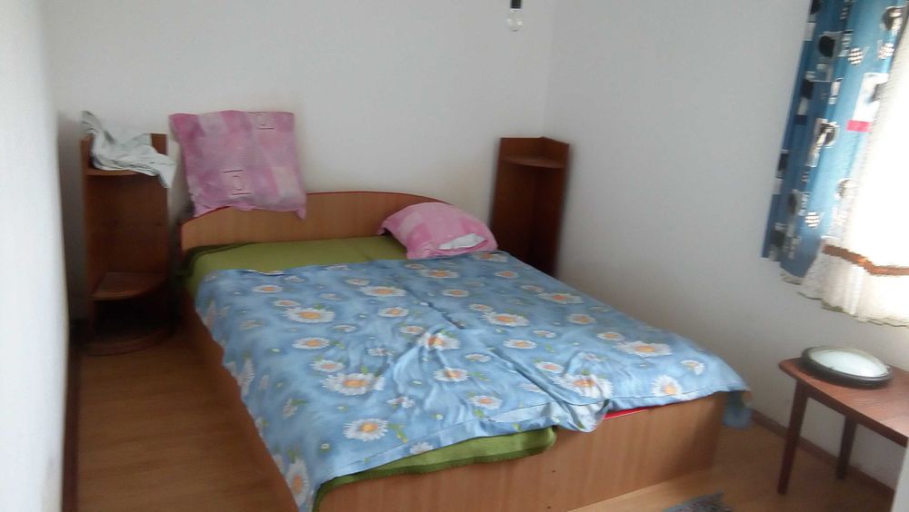 Casă și 5800 mp teren intravilan în Roșiori de Vede - Mai multe