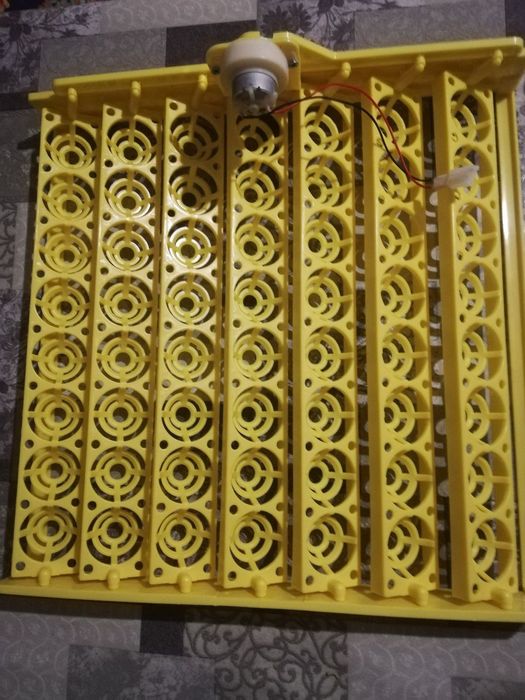 Инкубатор учун лоток